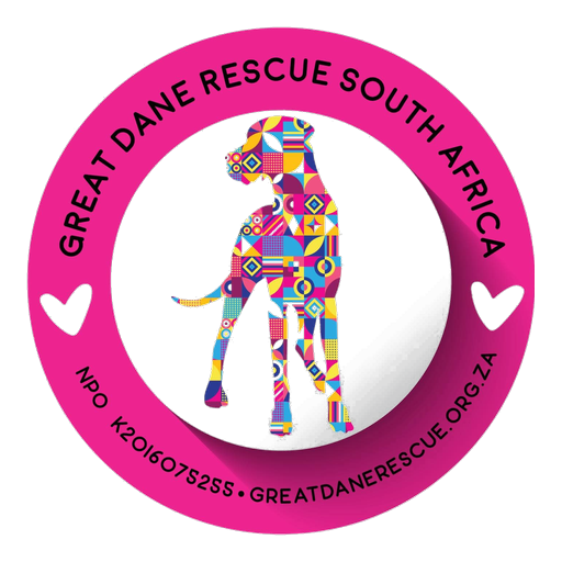 Great Dane Rescue South Africa